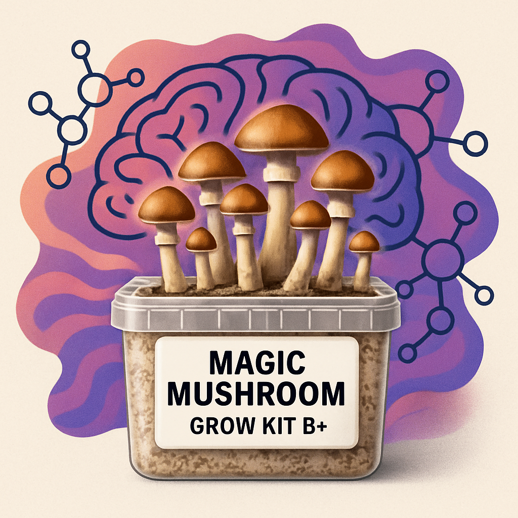 Magic Mushroom Grow Kit B+
